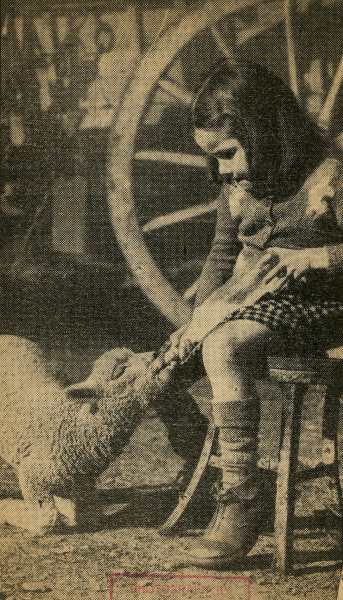 Muriel Moore feeds a lamb