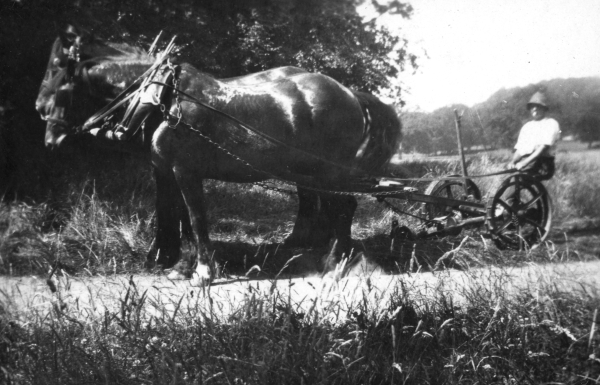 Ploughing