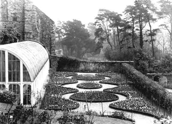 Abbey Conservatory & flower beds