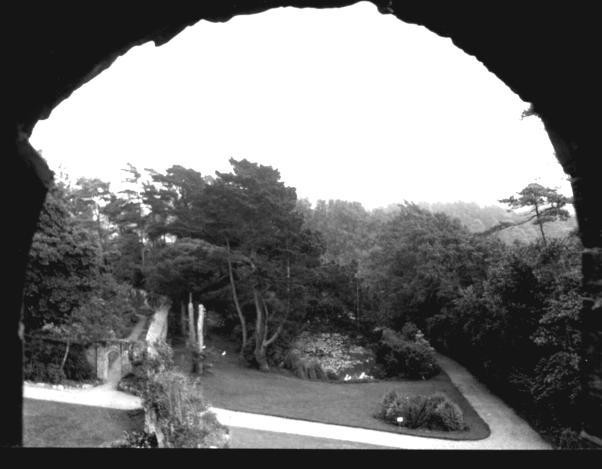 Abbey Lily pond and Kitchen garden